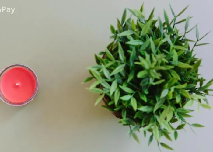 Petit Lu Appartement