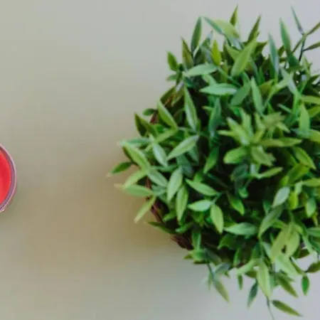 Petit Lu アパート